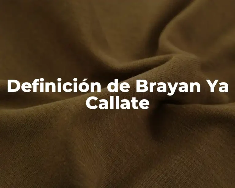 Definición de Brayan Ya Callate