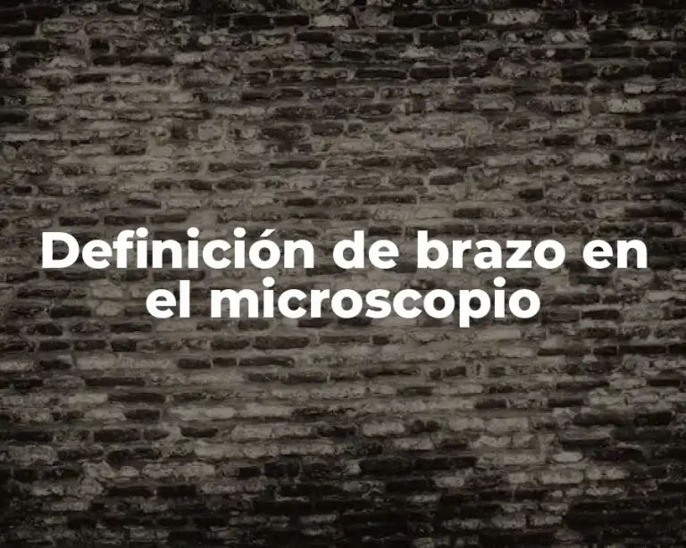 Definición de brazo en el microscopio