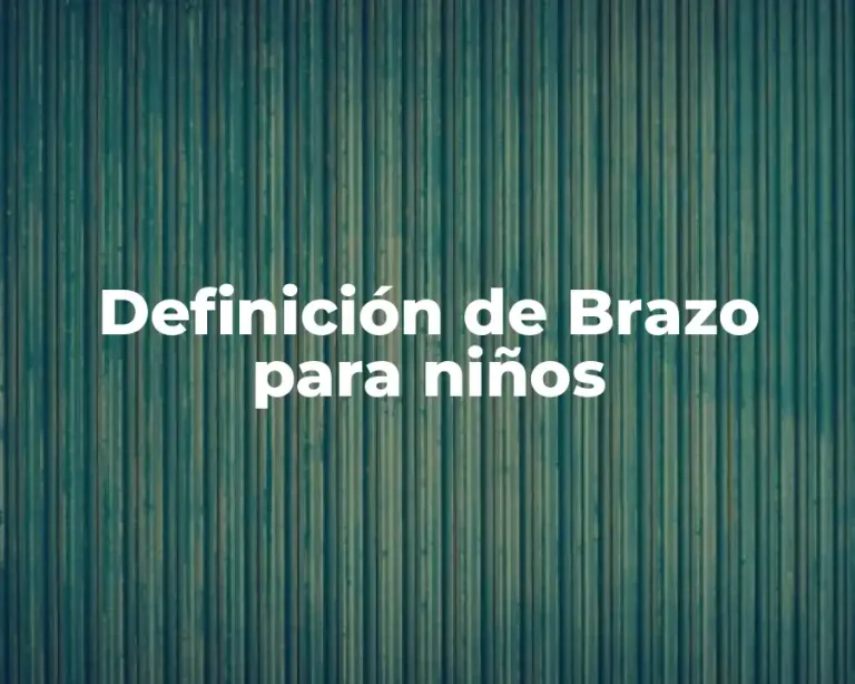 Definición de Brazo para niños