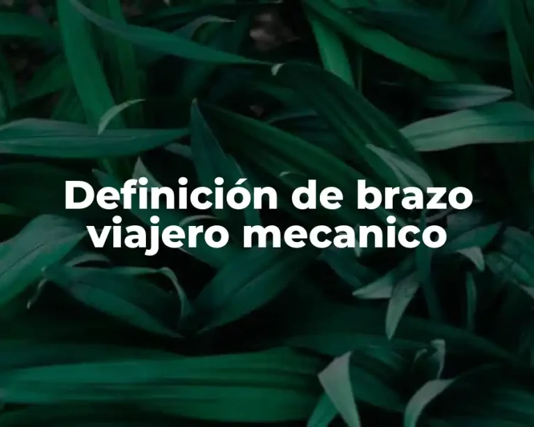 Definición de brazo viajero mecanico