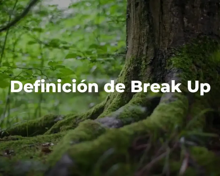 Definición de Break Up