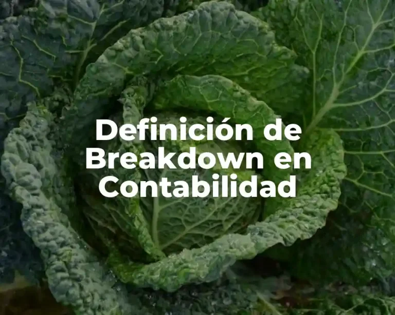 Definición de Breakdown en Contabilidad