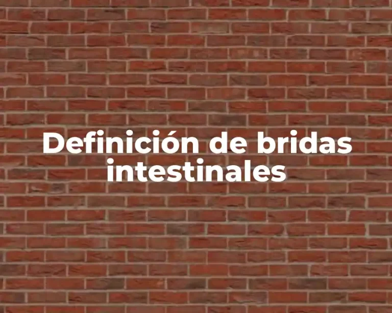 Definición de bridas intestinales