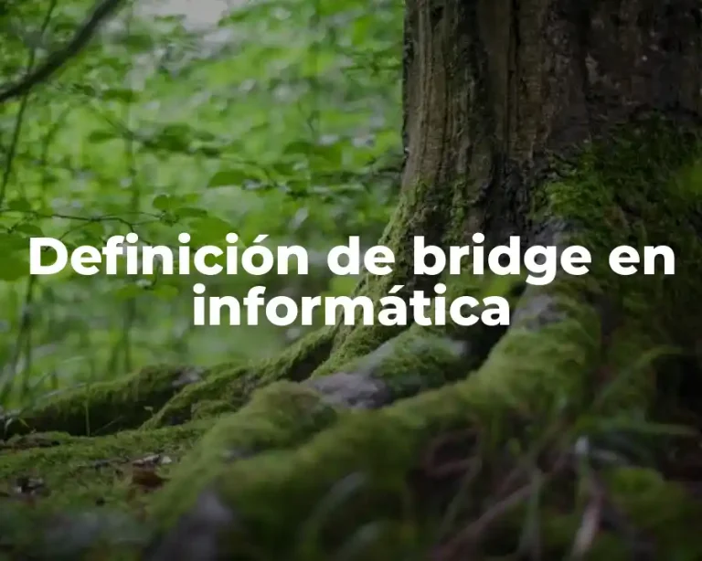 Definición de bridge en informática