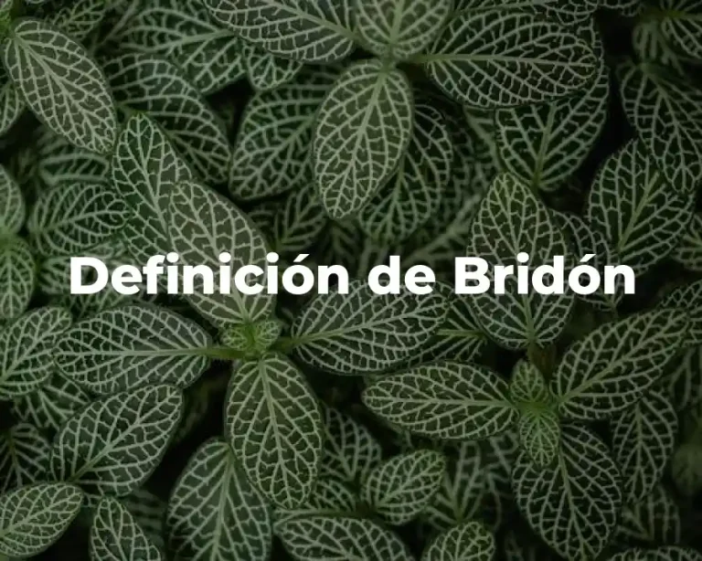 Definición de Bridón