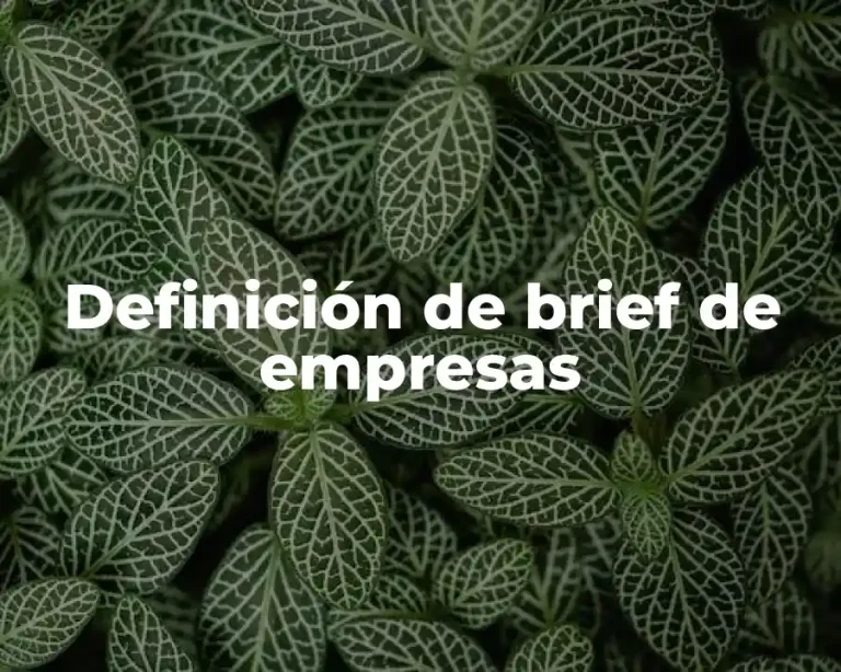 Definición de brief de empresas