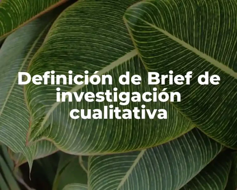 Definición de Brief de investigación cualitativa