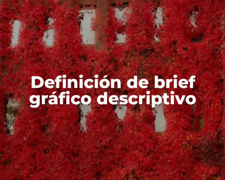 Definición de brief gráfico descriptivo
