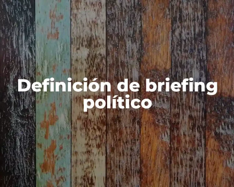 Definición de briefing político