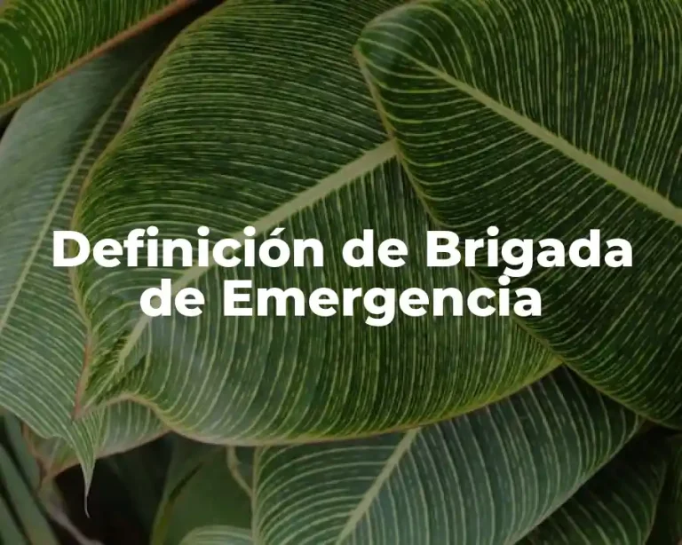 Definición de Brigada de Emergencia