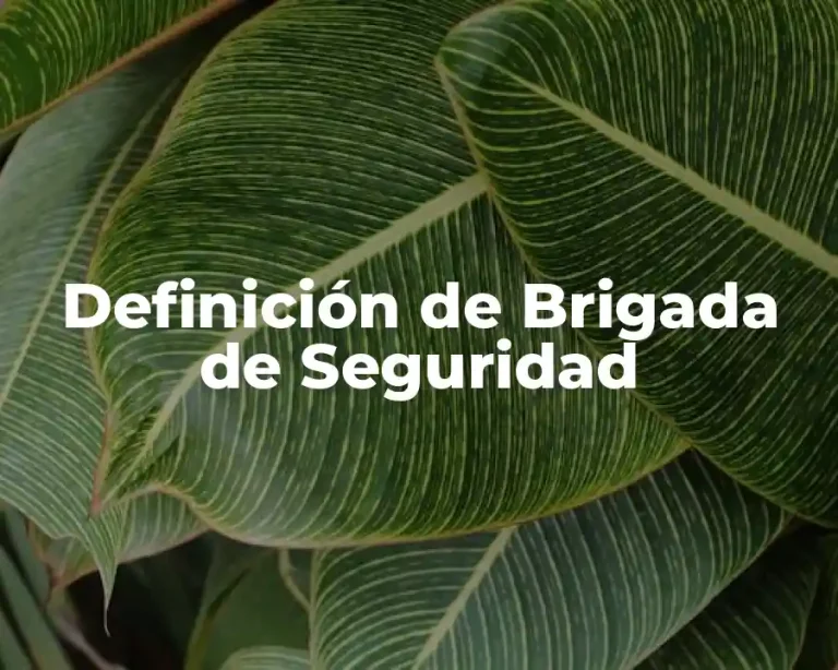 Definición de Brigada de Seguridad