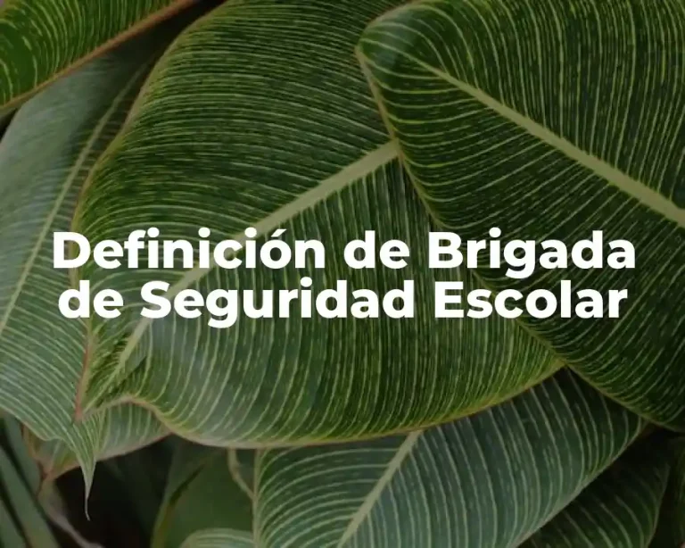 Definición de Brigada de Seguridad Escolar