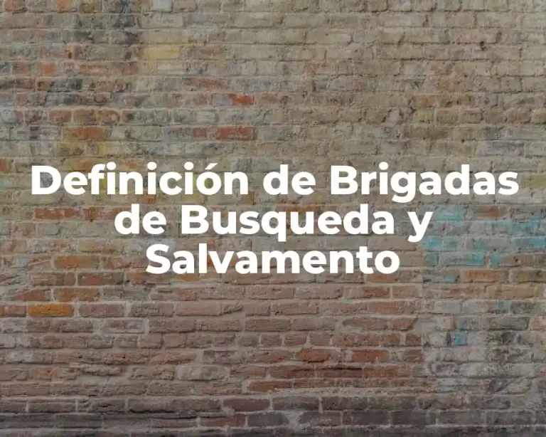 Definición de Brigadas de Busqueda y Salvamento
