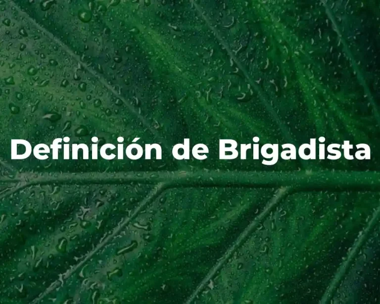 Definición de Brigadista