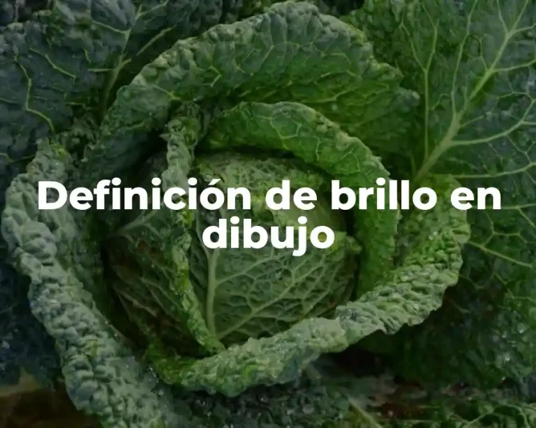 Definición de brillo en dibujo