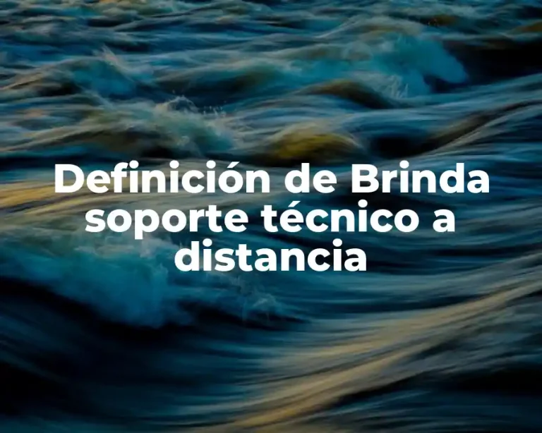 Definición de Brinda soporte técnico a distancia