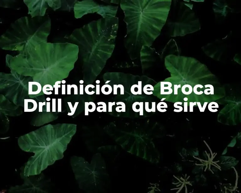 Definición de Broca Drill y para qué sirve