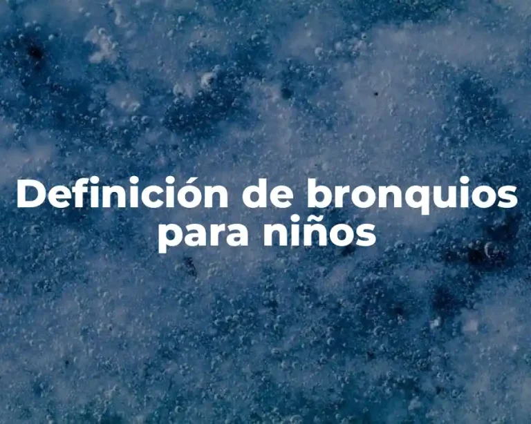 Definición de bronquios para niños