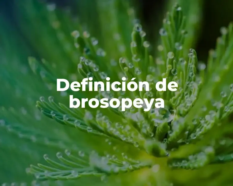 Definición de brosopeya
