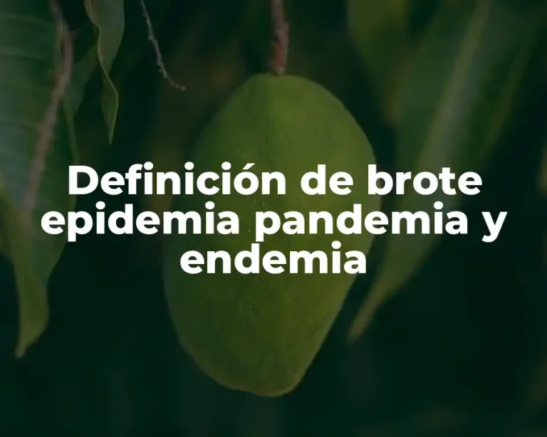 Definición de brote epidemia pandemia y endemia