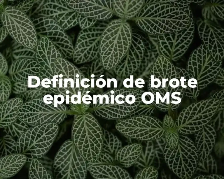 Definición de brote epidémico OMS