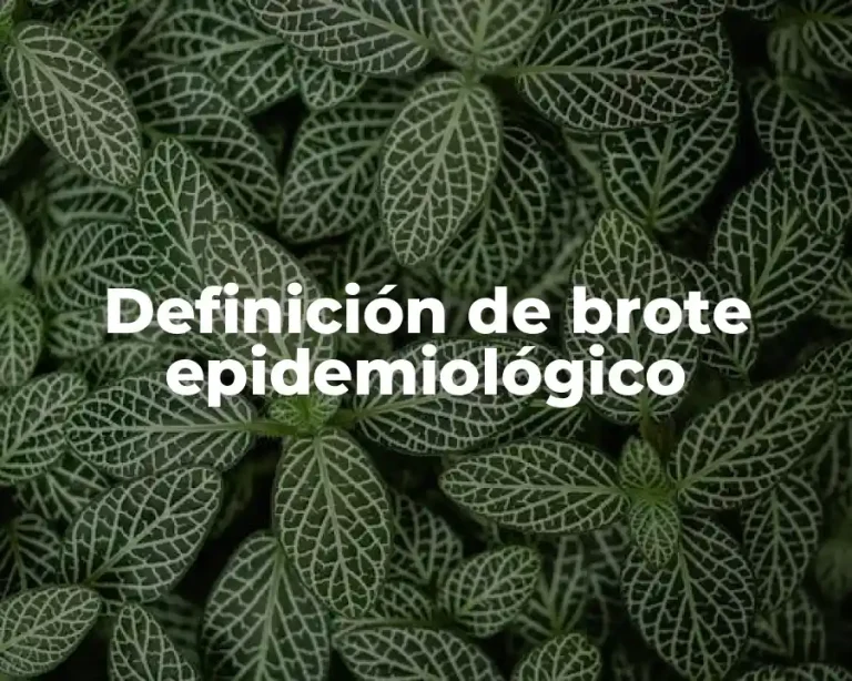 Definición de brote epidemiológico