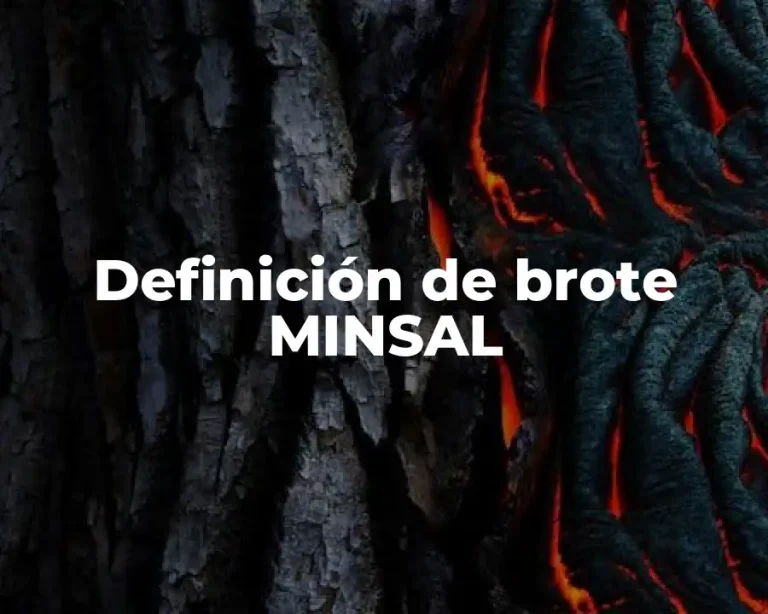 Definición de brote MINSAL