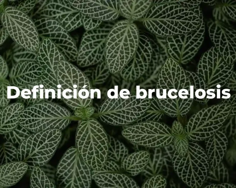 Definición de brucelosis