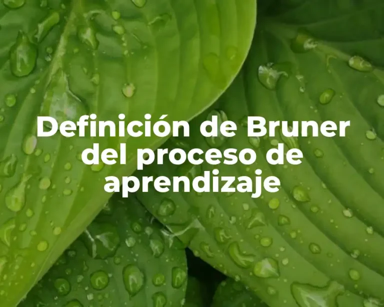 Definición de Bruner del proceso de aprendizaje