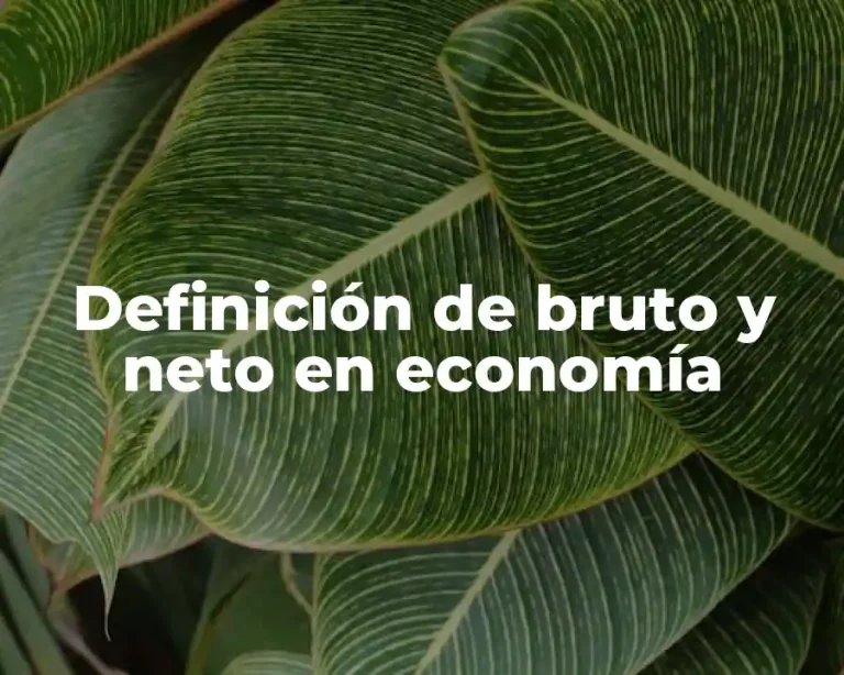 Definición de bruto y neto en economía