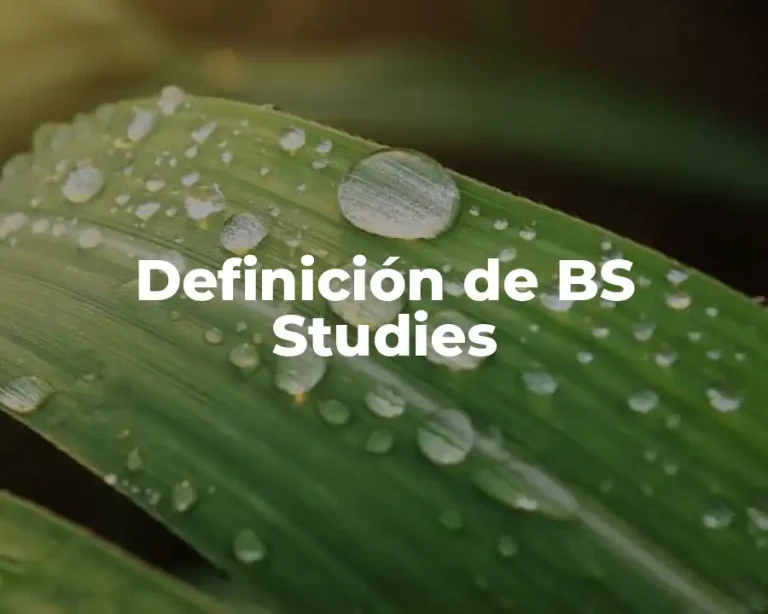 Definición de BS Studies