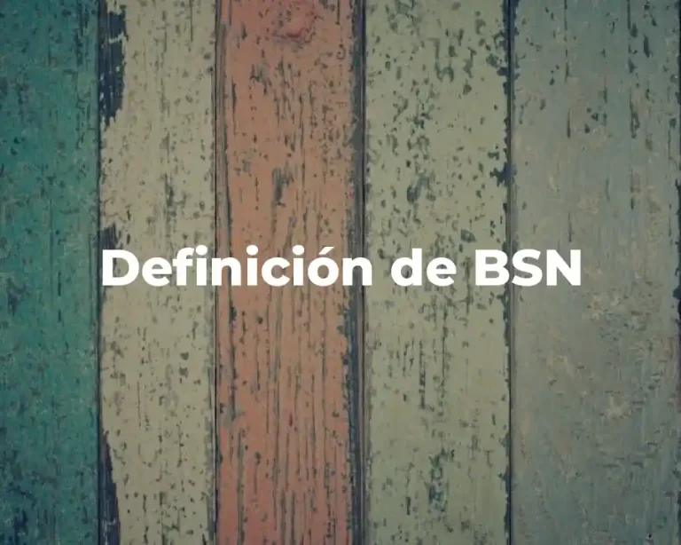 Definición de BSN