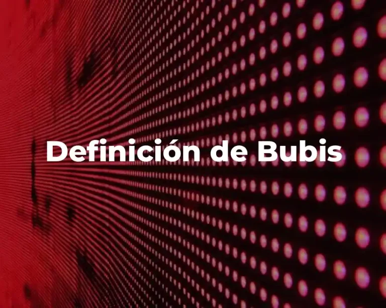 Definición de Bubis
