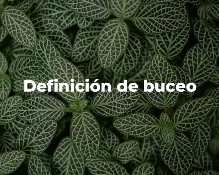 Definición de buceo
