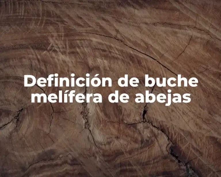 Definición de buche melífera de abejas