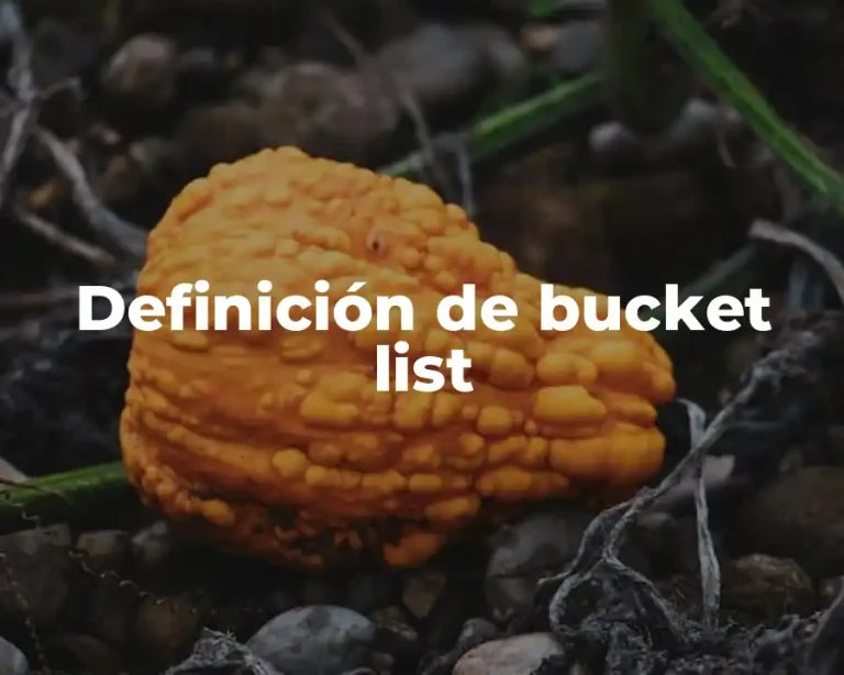 Definición de bucket list