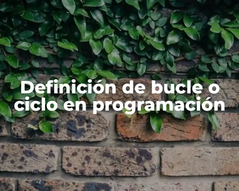 Definición de bucle o ciclo en programación