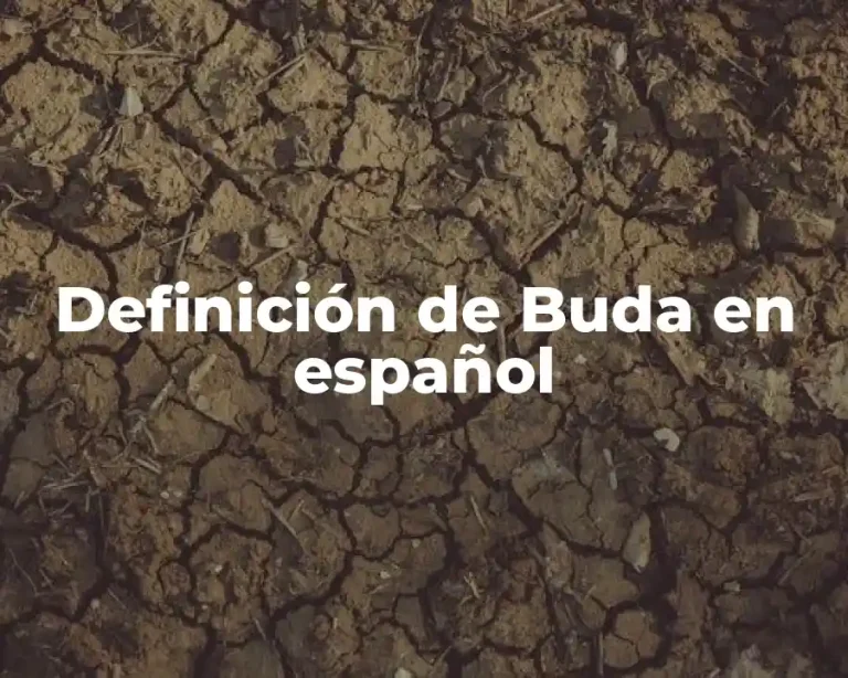 Definición de Buda en español