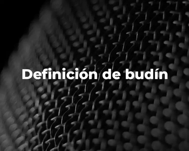 Definición de budín