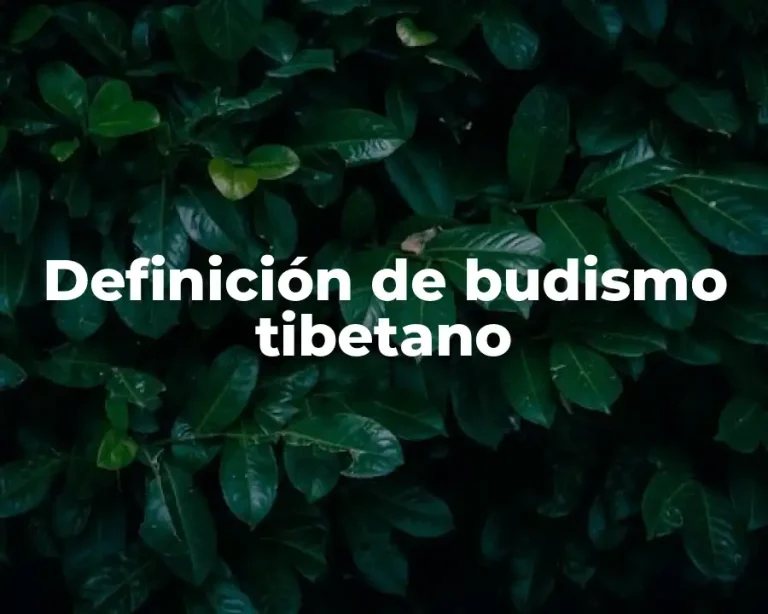 Definición de budismo tibetano