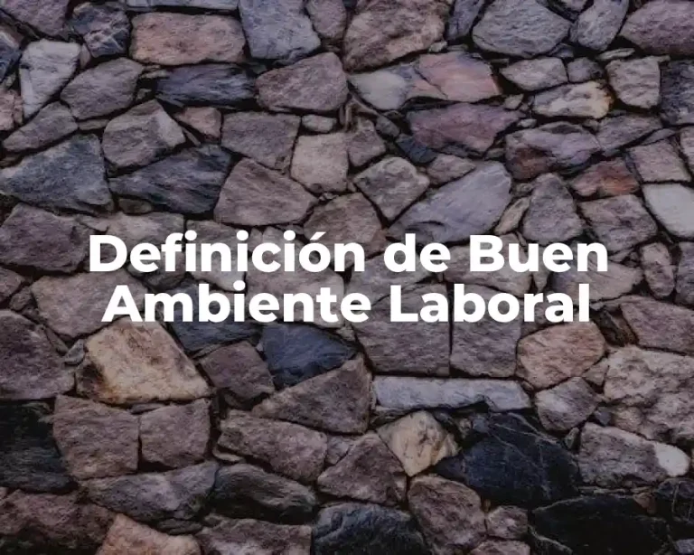 Definición de Buen Ambiente Laboral