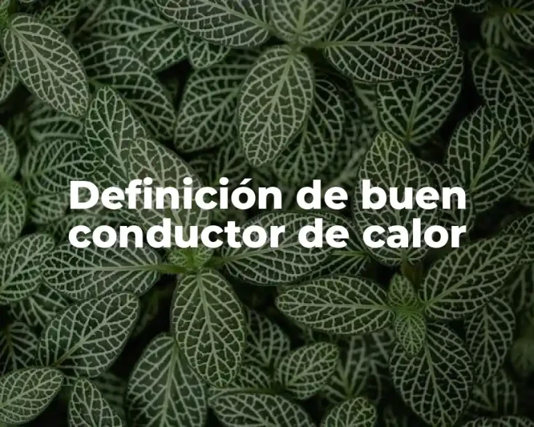 Definición de buen conductor de calor