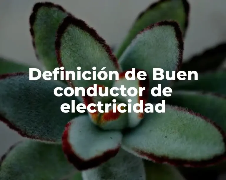 Definición de Buen conductor de electricidad