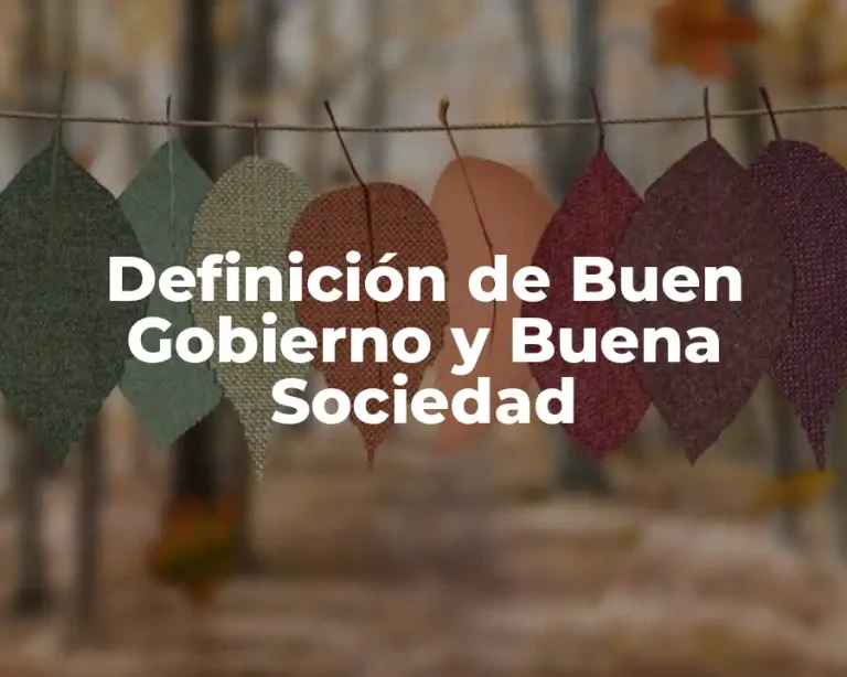 Definición de Buen Gobierno y Buena Sociedad