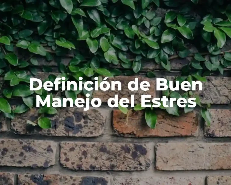 Definición de Buen Manejo del Estres