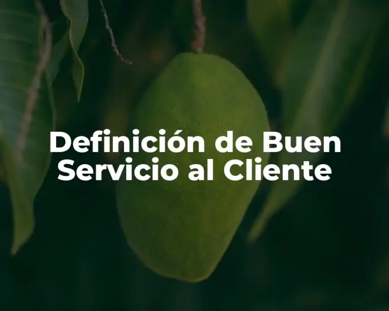 Definición de Buen Servicio al Cliente