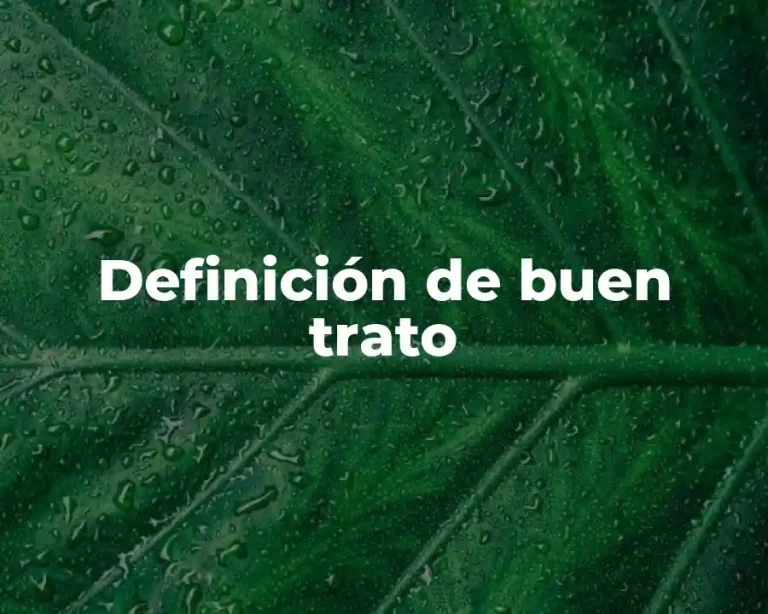 Definición de buen trato