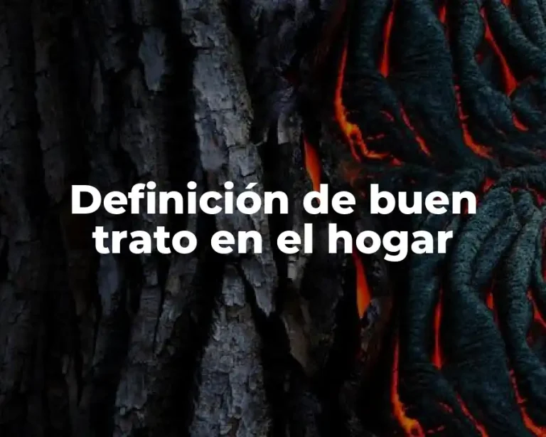 Definición de buen trato en el hogar