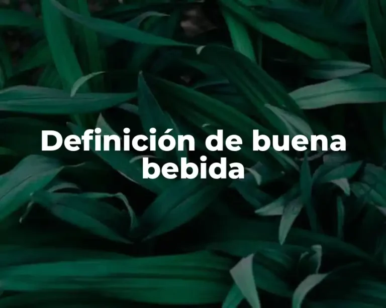 Definición de buena bebida