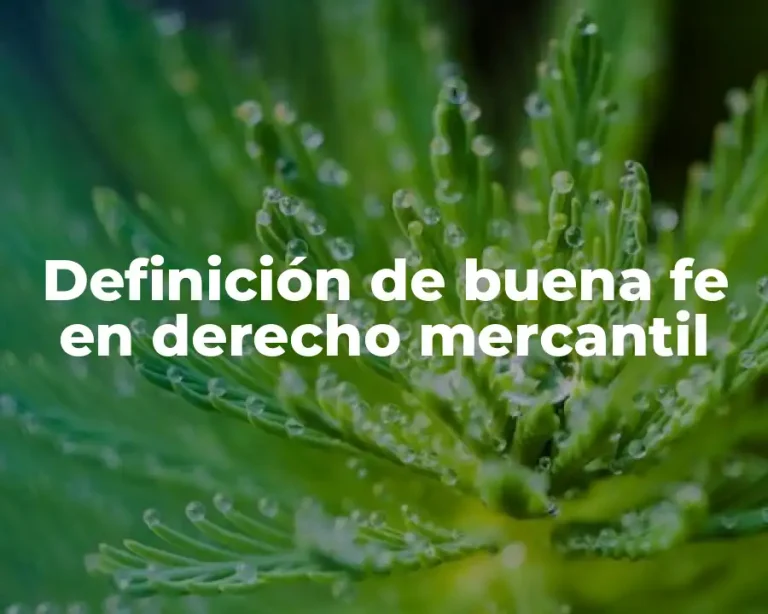 Definición de buena fe en derecho mercantil